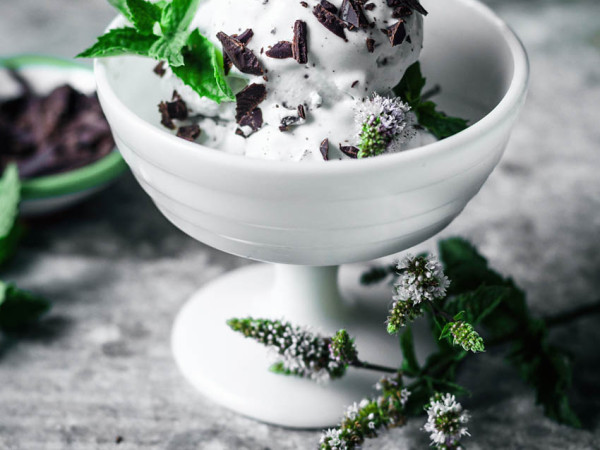 Vegan Mint Chocolate Chip Dessert