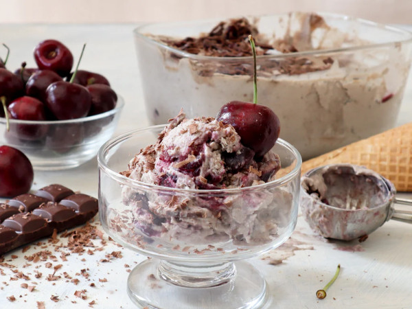 Vegan Chocolate-Cherry Chip Ice Cream Treat